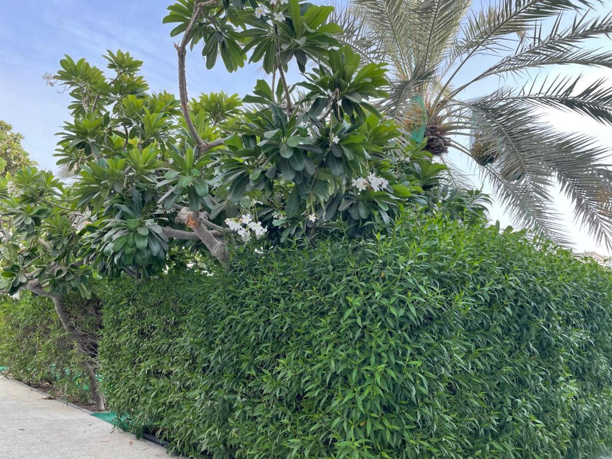 Al Corniche Hotel 沙迦 外观 照片